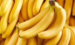 Bananas