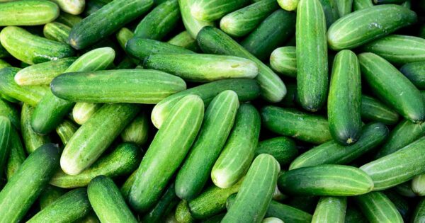 Cucumbers