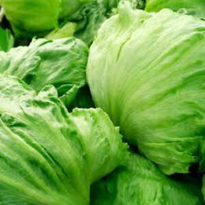 lettuce