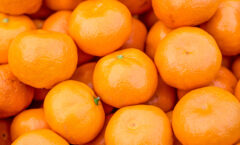 Mandarin orange